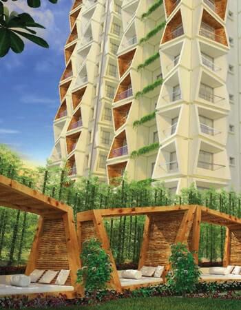 Hijibiji-Listing-Image